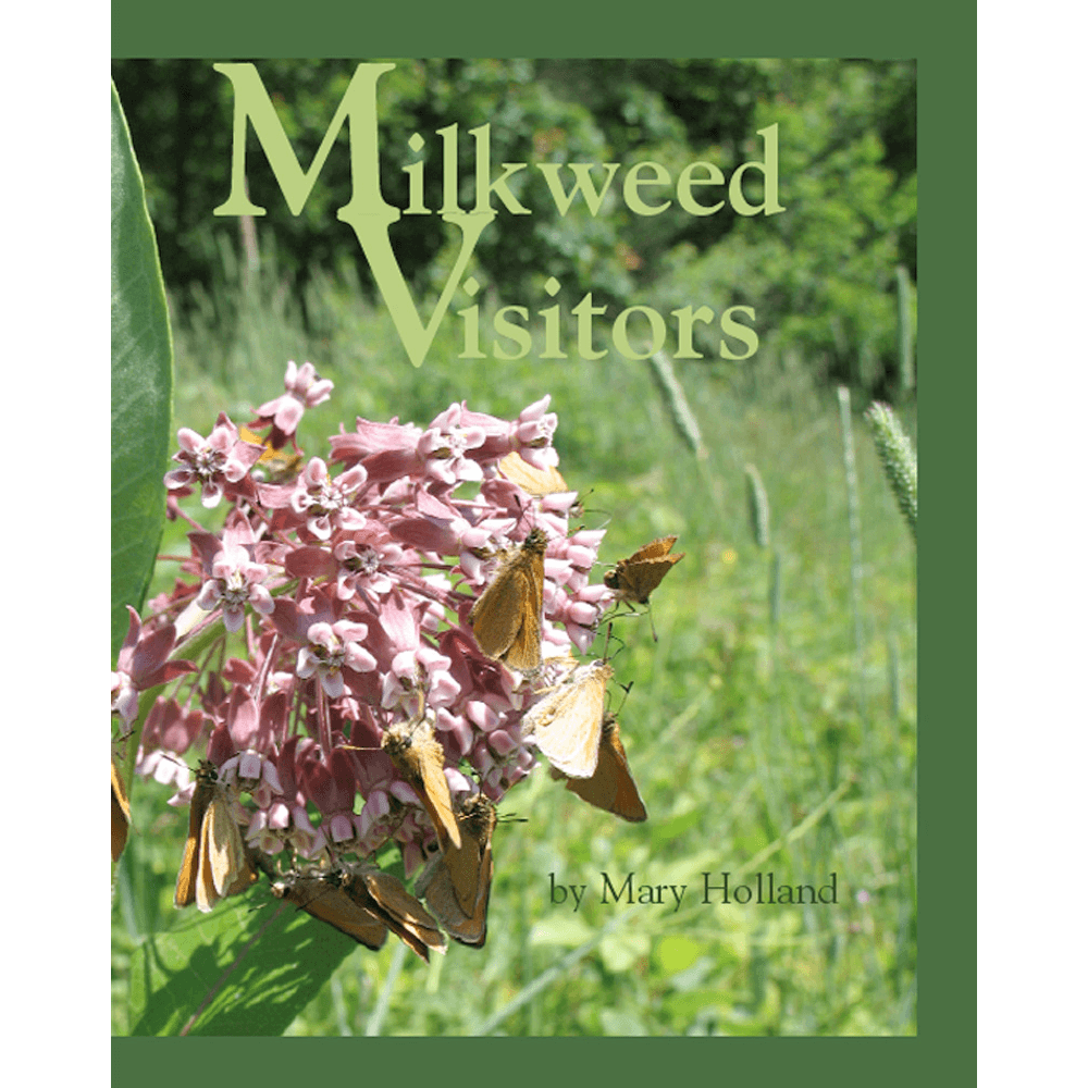 Milkweed Visitors