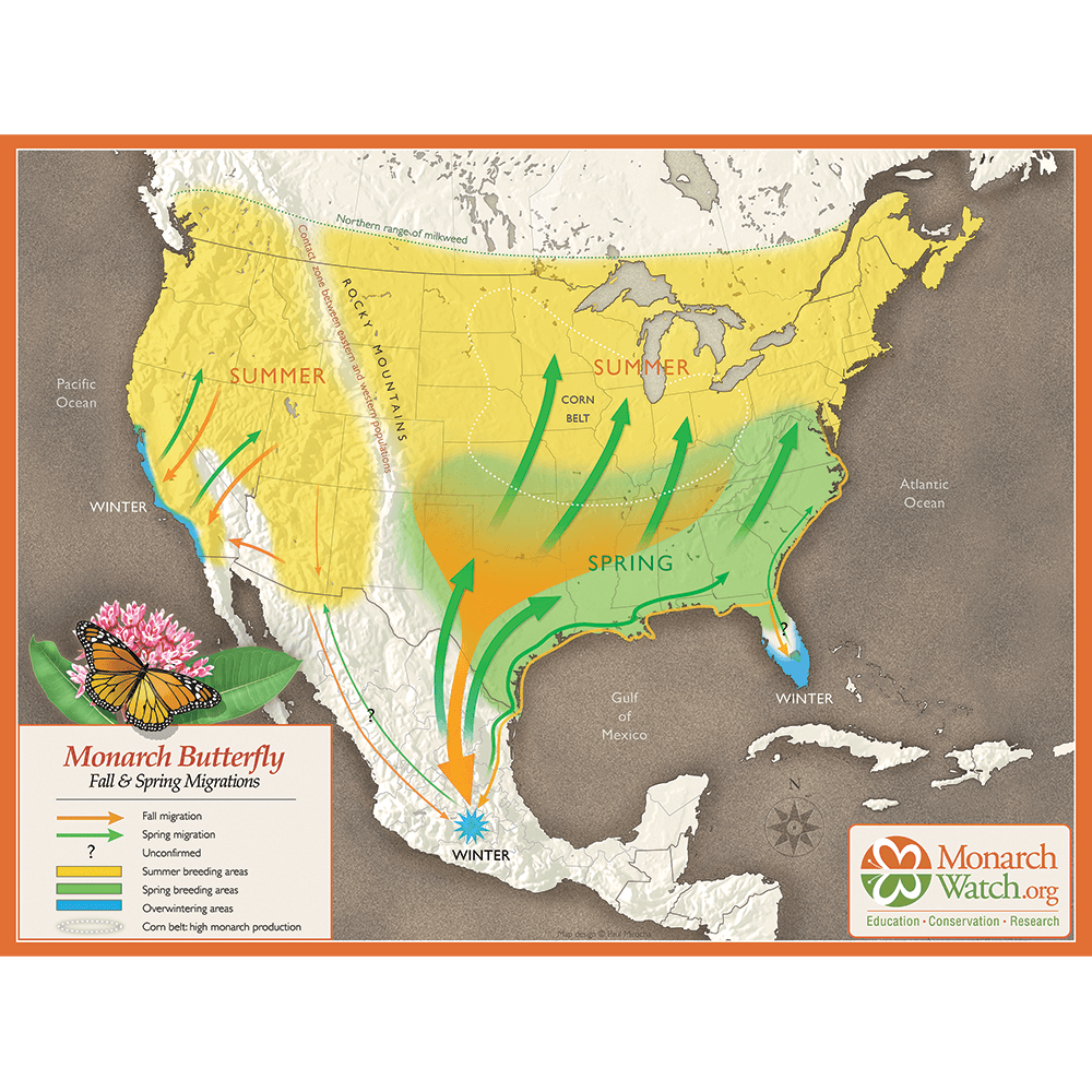 Monarch Migration Map