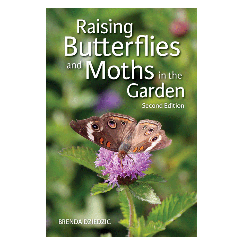 Raising Butterflies and Moths in the Garden