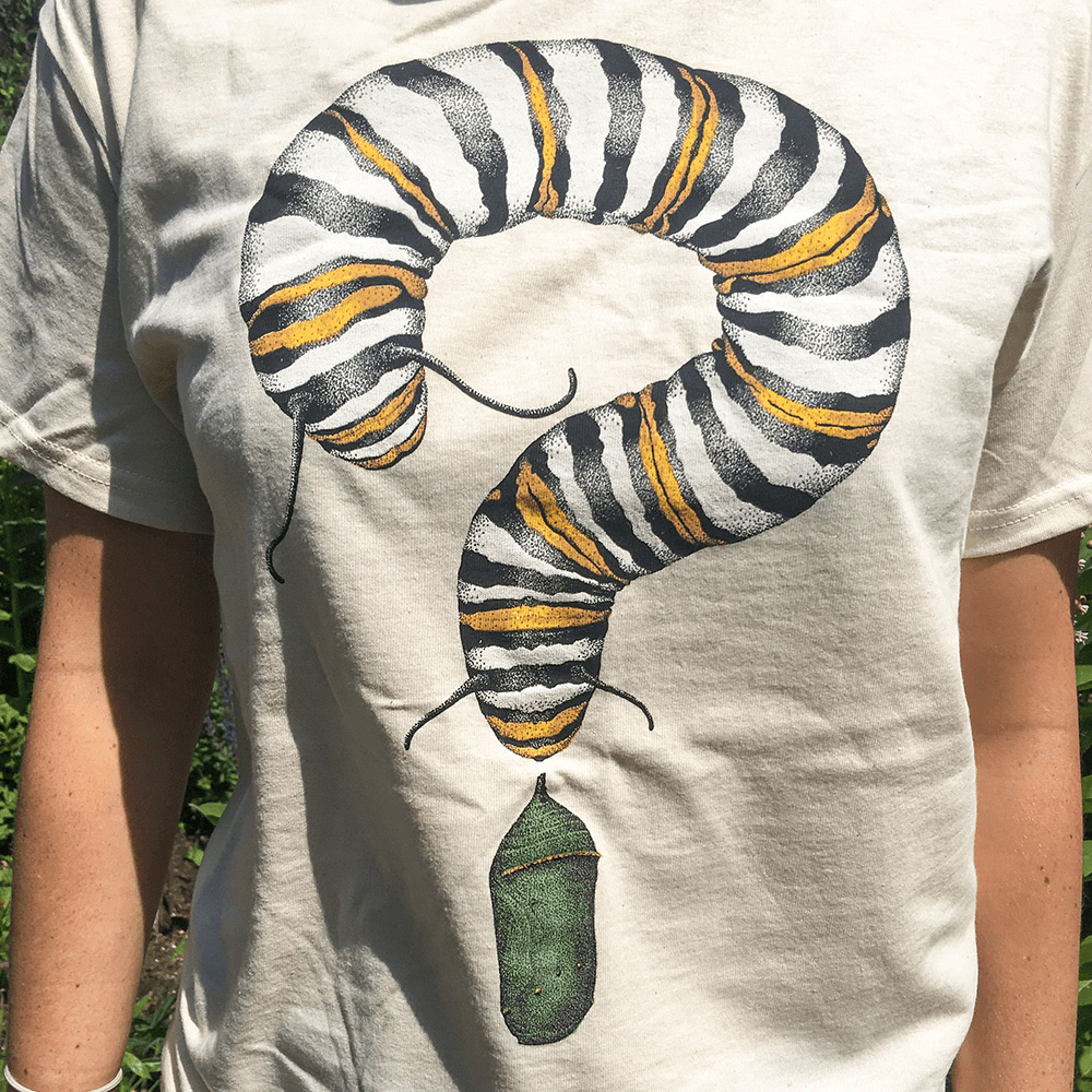 Monarch Metamorphosis T-shirt Adult