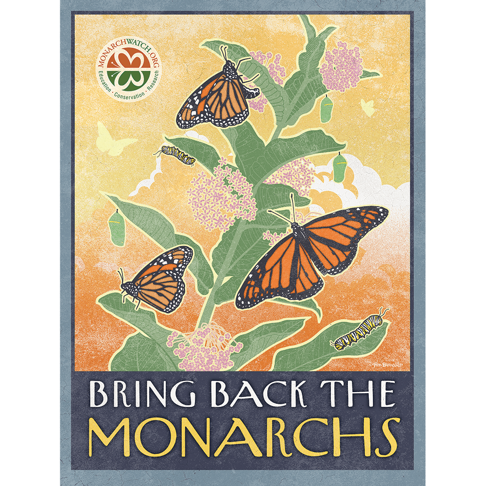 Bring Back The Monarchs Poster