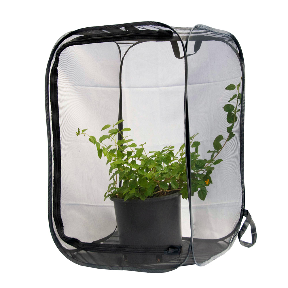 Large Pop-up Habitat, 24x24x36"