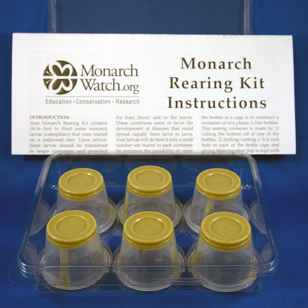 Monarch Rearing Kit