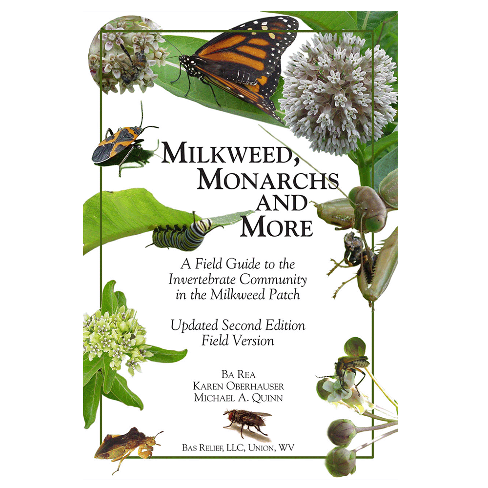 Milkweed, Monarchs and More (Field Version)