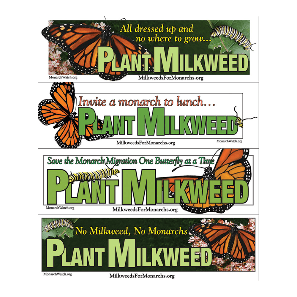 Monarch Watch Bumperstickers