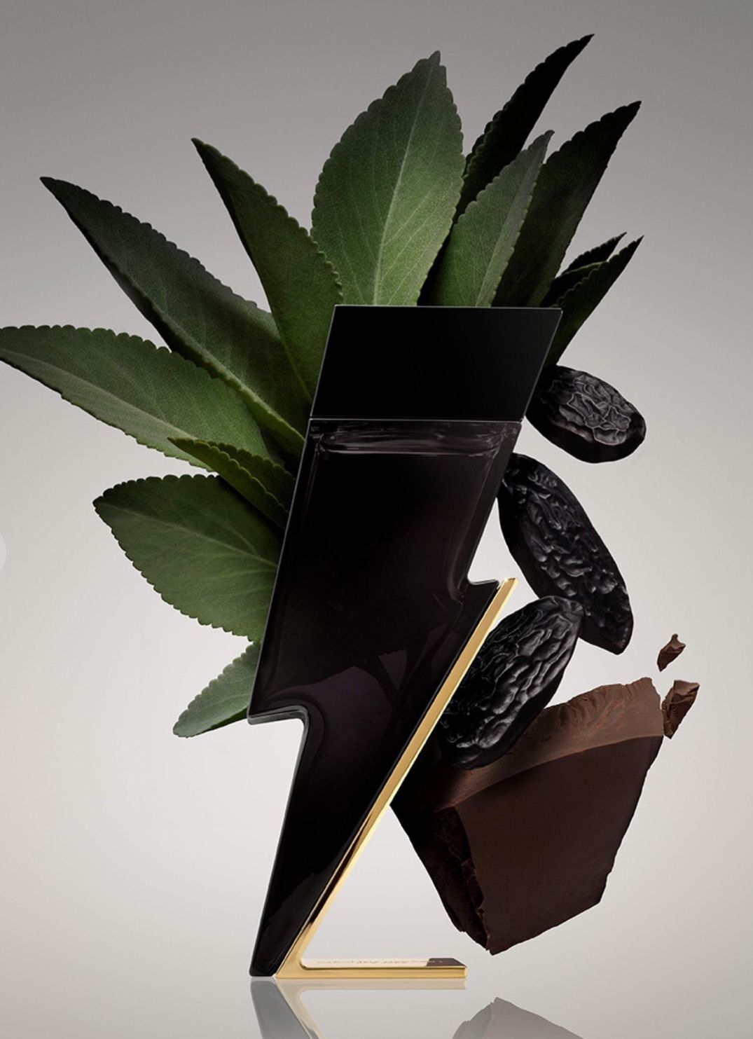 Carolina Herrera Bad boy edt