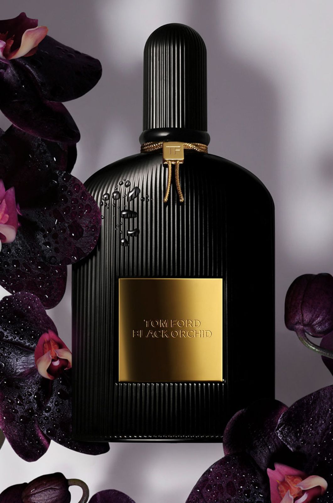 Tom Ford Black Orchid