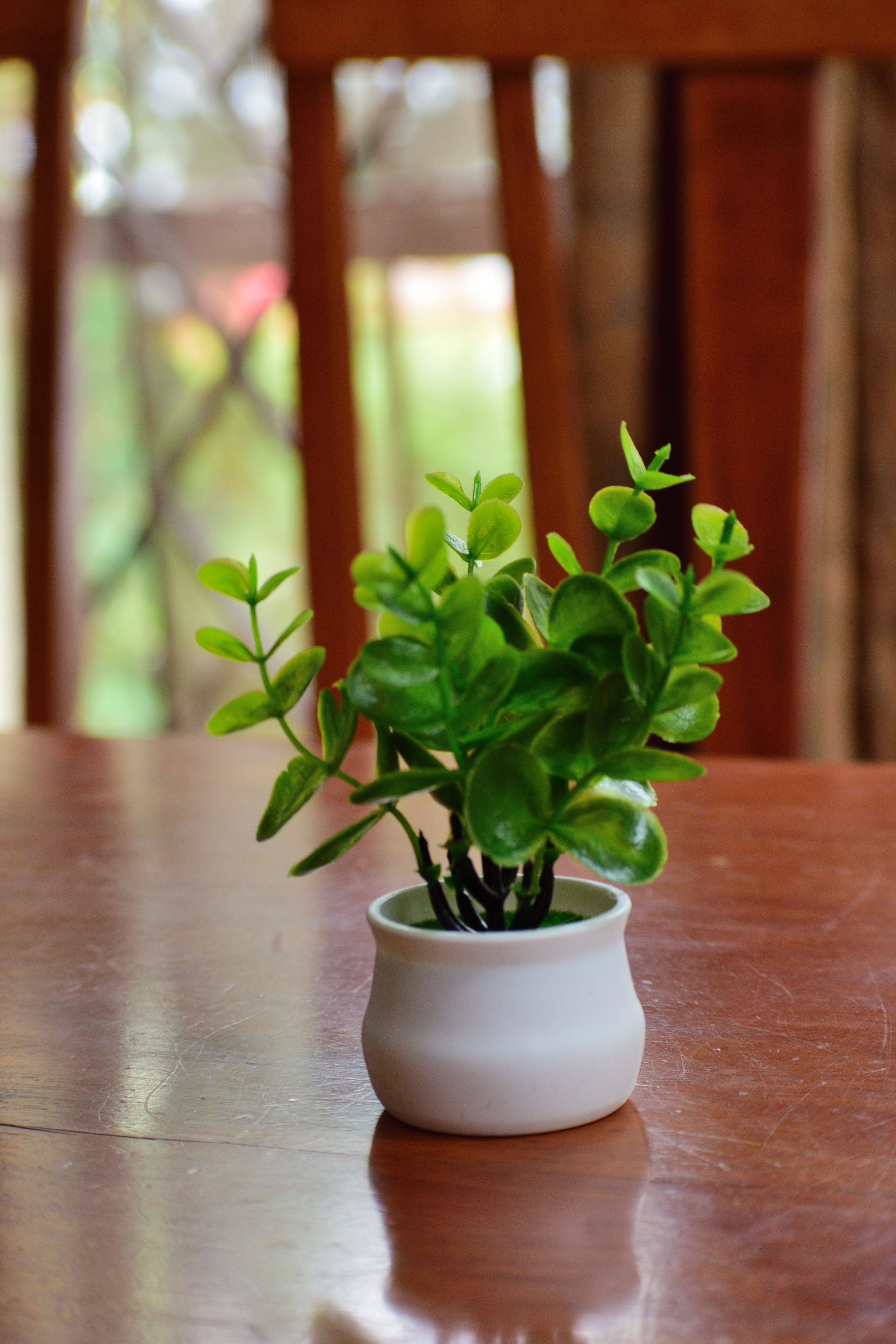 Artificial Flower - Money Plant