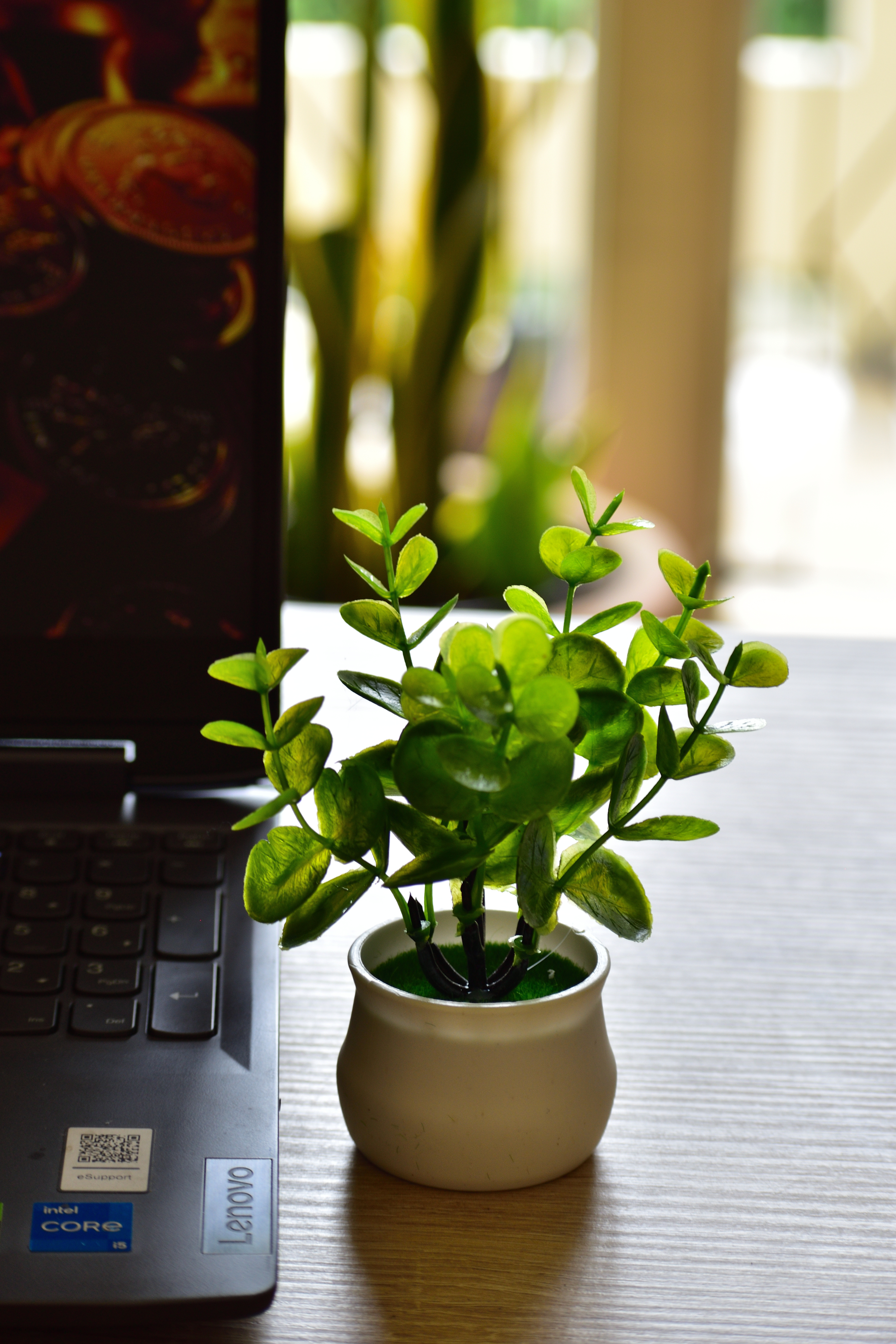 Artificial Flower - Money Plant