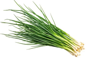 spring onions