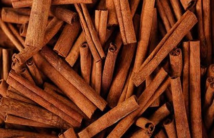 Cinnamon indian