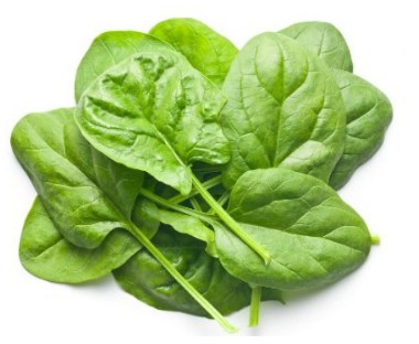 Baby spinach