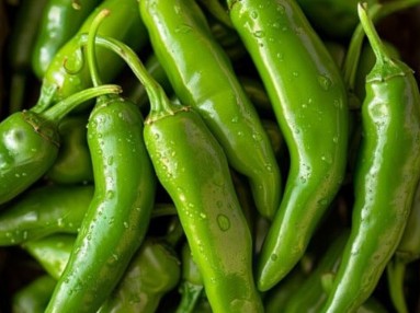 Green chilli pepper