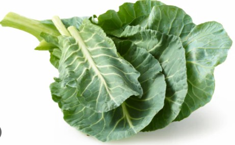 Collard green /sukumawigi