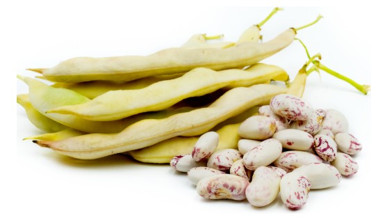 Fresh beans