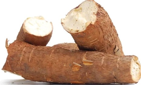 Cassava fresh