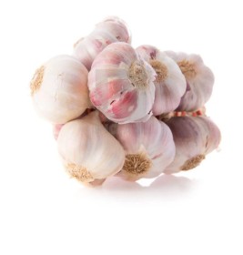 Garlic unpelled
