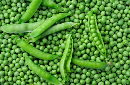 Fresh garden peas