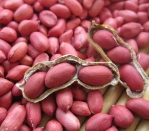 Red pelled peanut