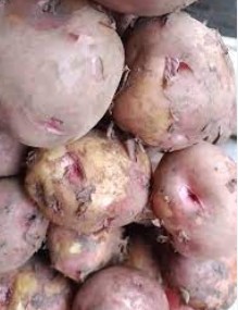 Irish potatoes/kinigi