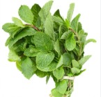 Fresh mint leaves