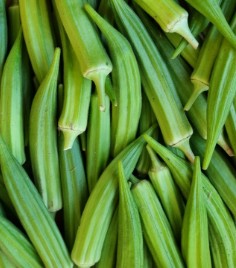 Okra/ Gombo