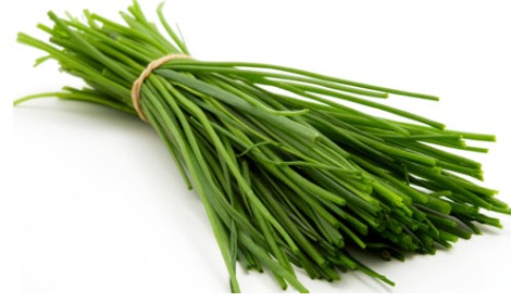 Chives /abullettes