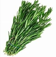 Fresh rosemary