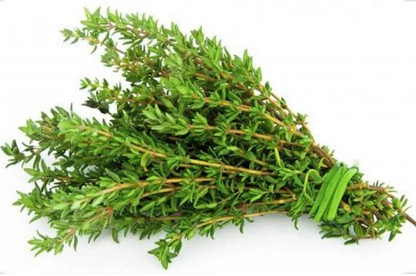 Fresh thyme