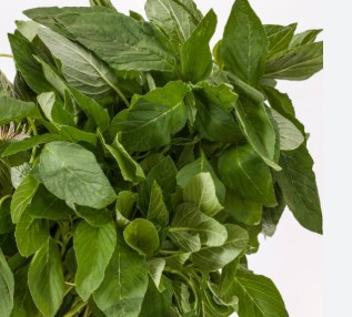 Fresh amaranth/dodo