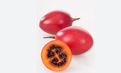 Tree tomatoes
