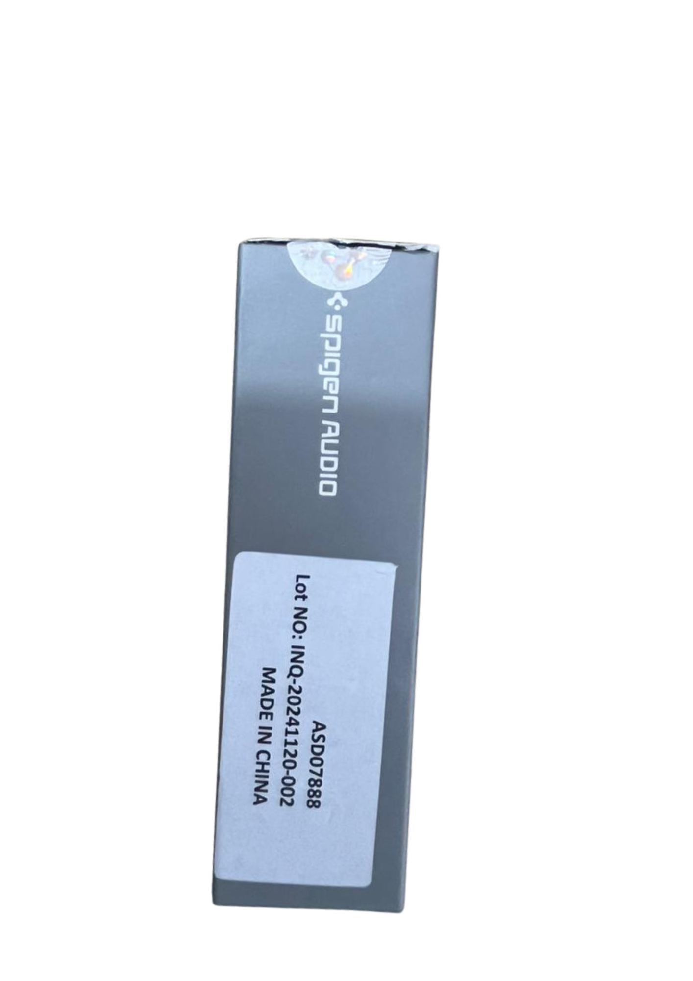 Spigen Audio P100 True Wireless Earbuds (Black)