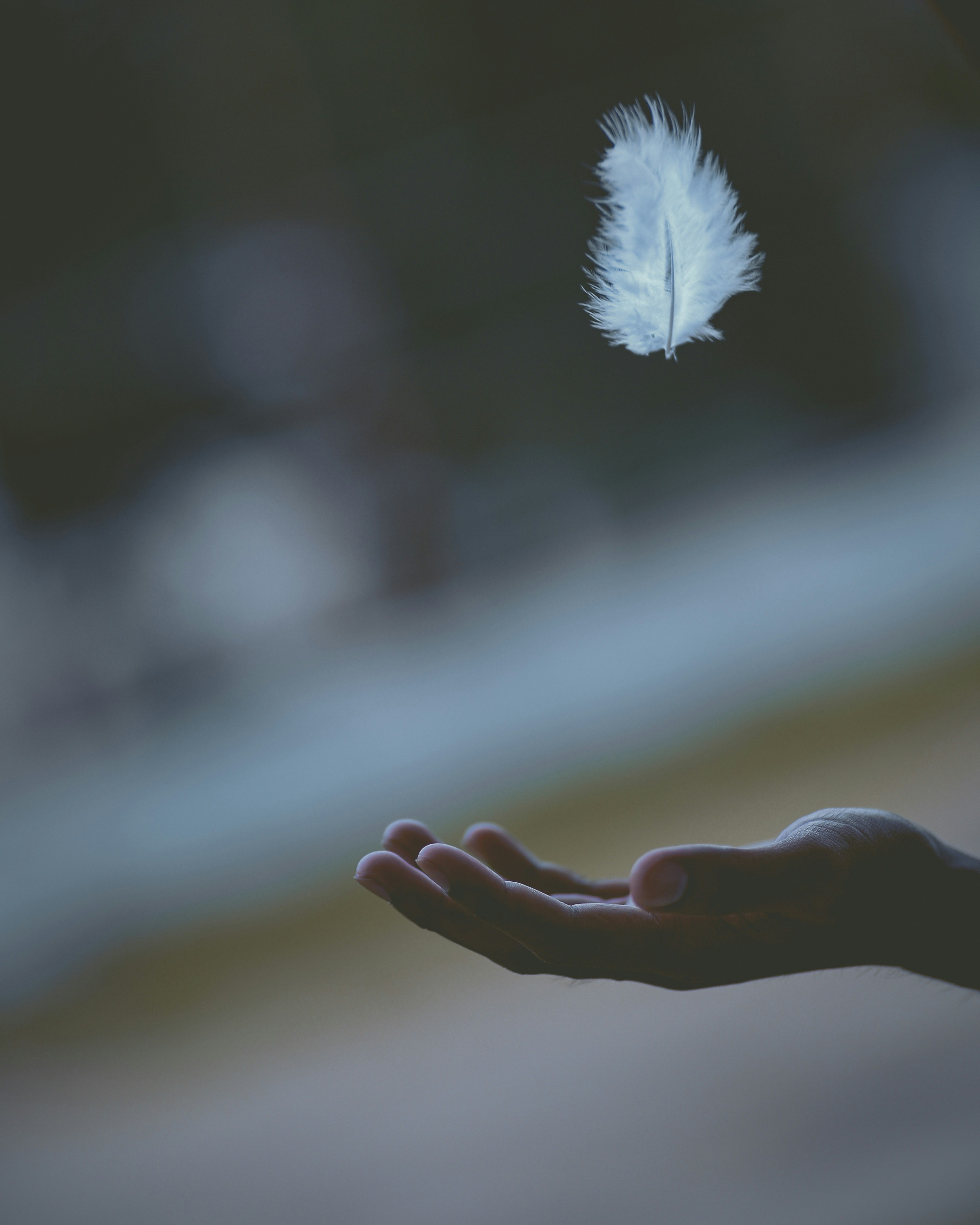 Reiki Energy Reset