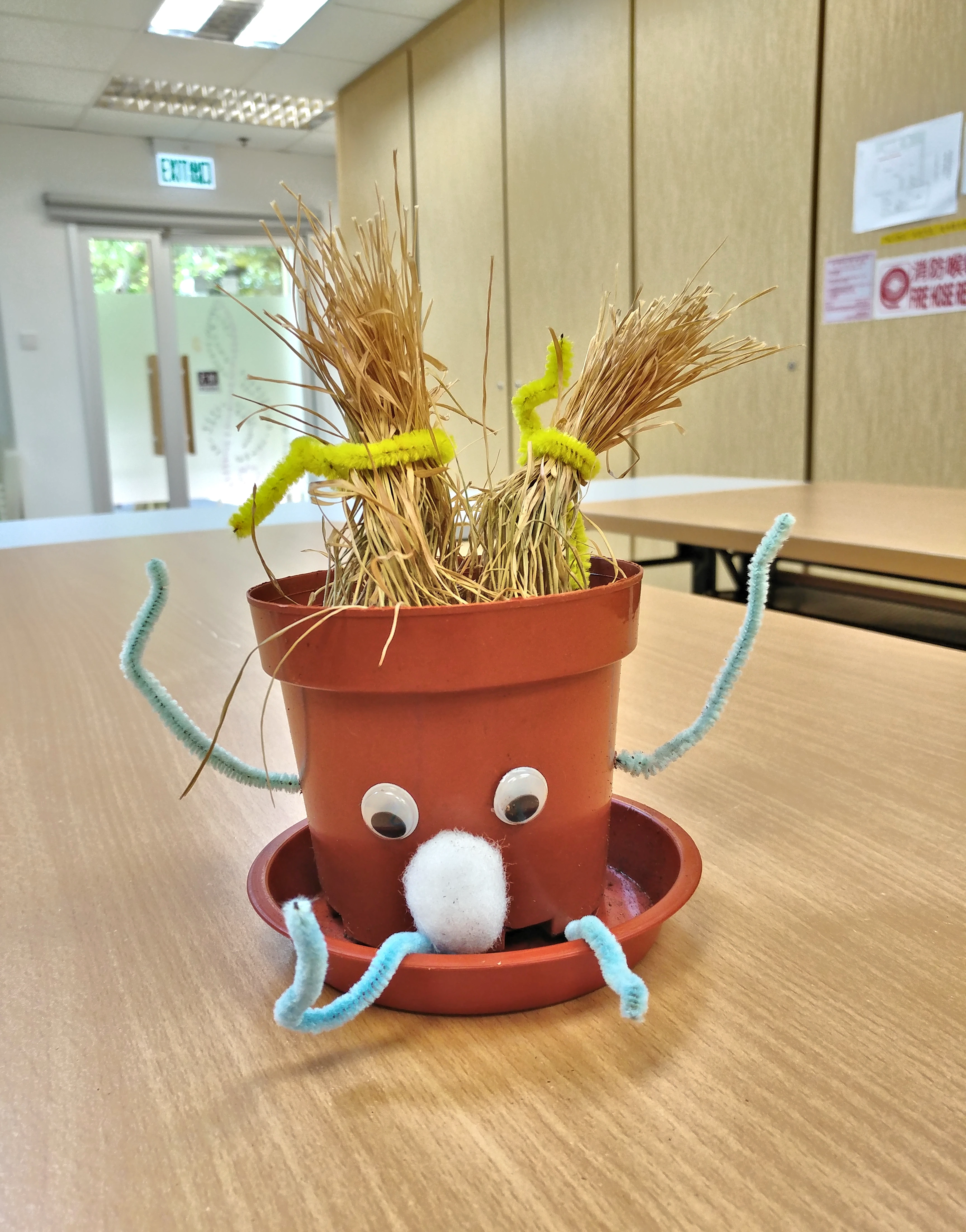 園藝治療工作坊 Horticultural Therapy Workshop