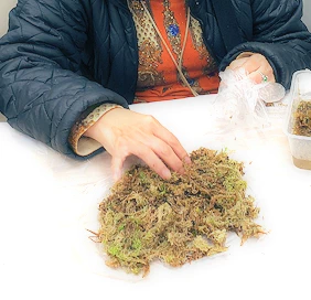 長者園藝治療小組