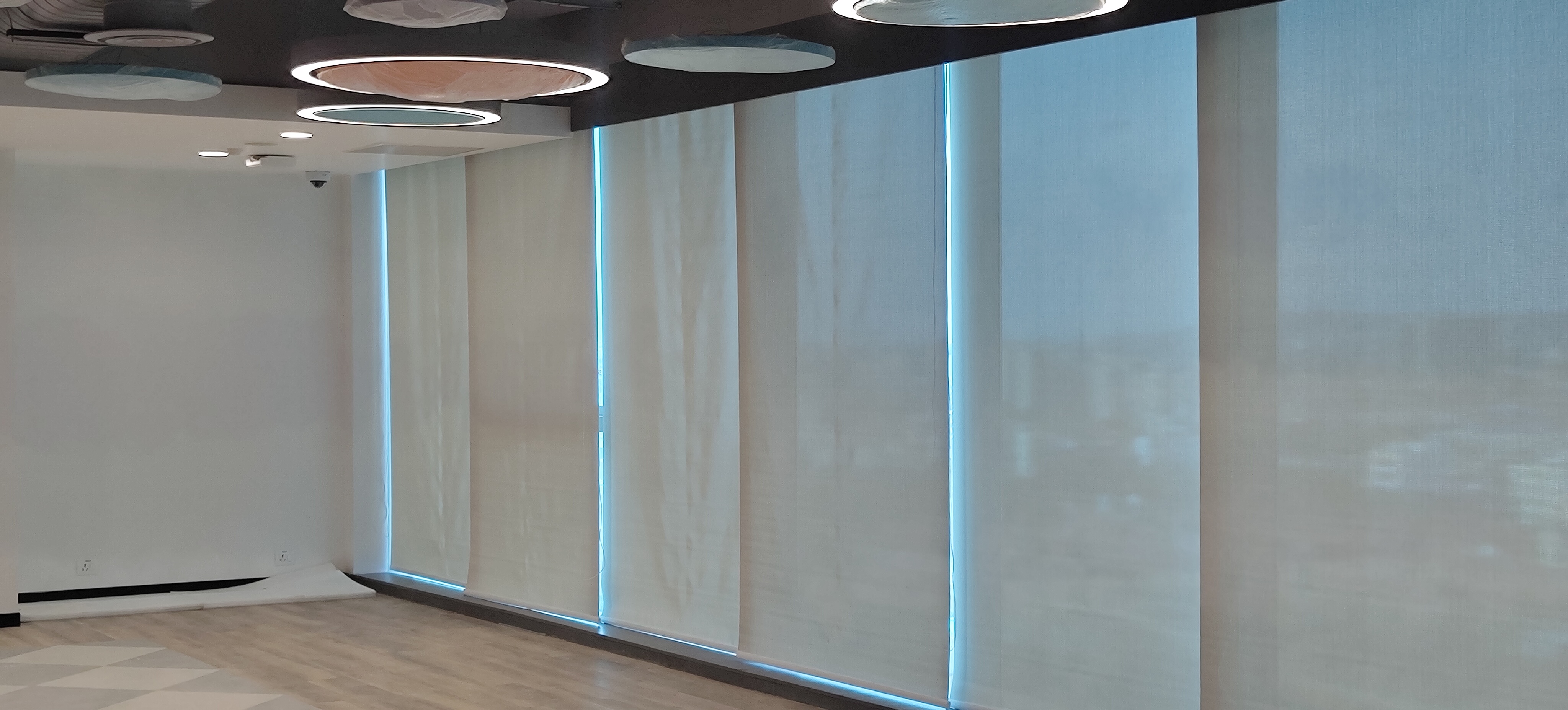 Sunscreen Window Roller Blinds