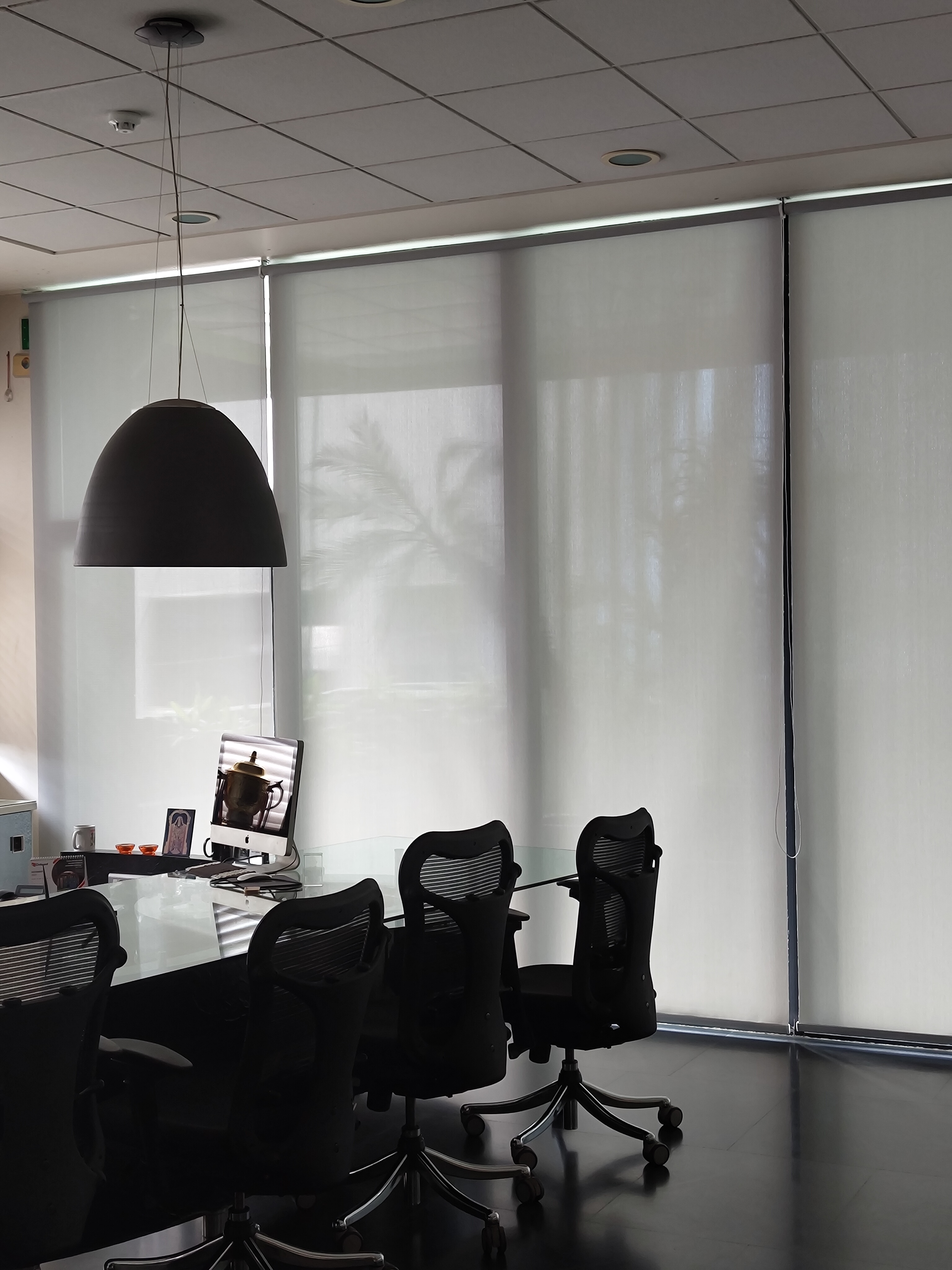 Sunscreen Window Roller Blinds