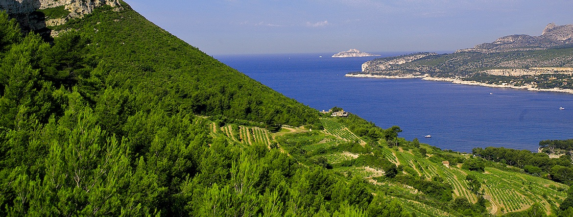 Cassis and Bandol