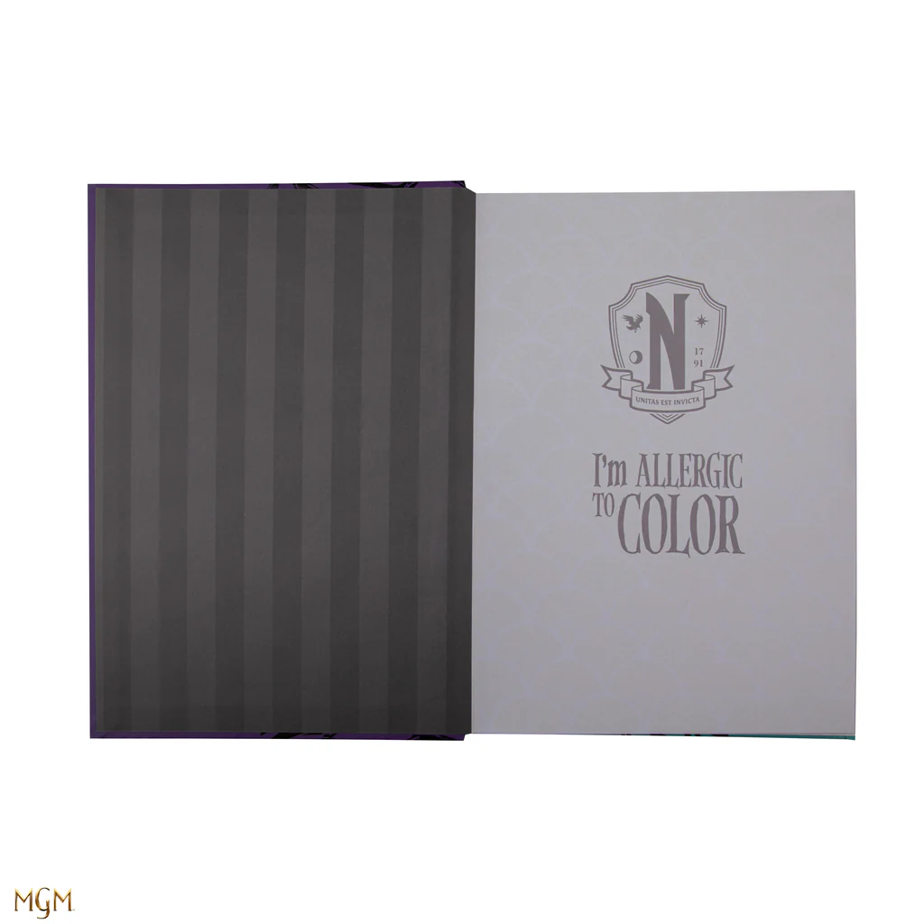 Hard Cover Notebook – Wednesday and Enid
