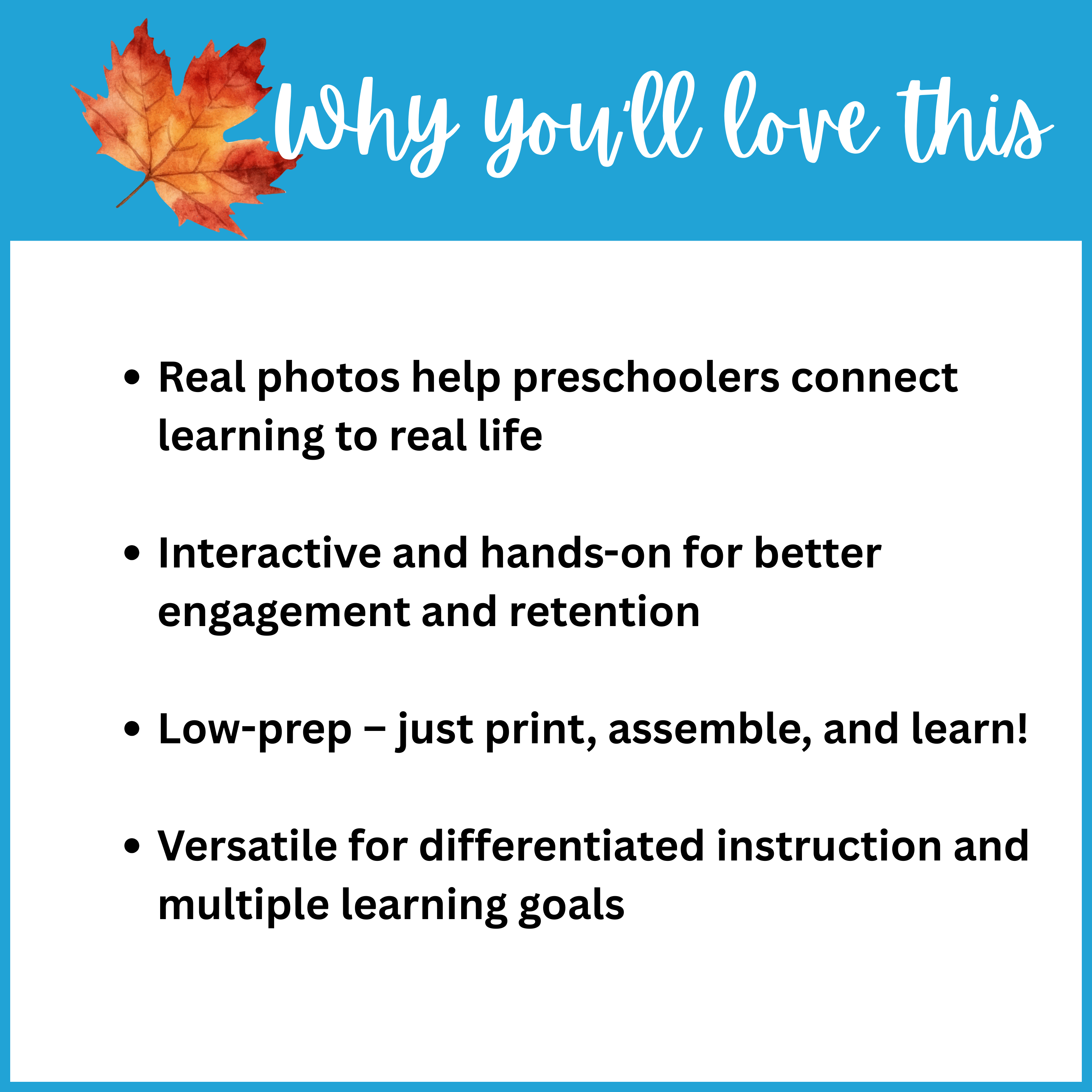 Fall Vocabulary Interactive Book for Preschool – Real Photo Printable