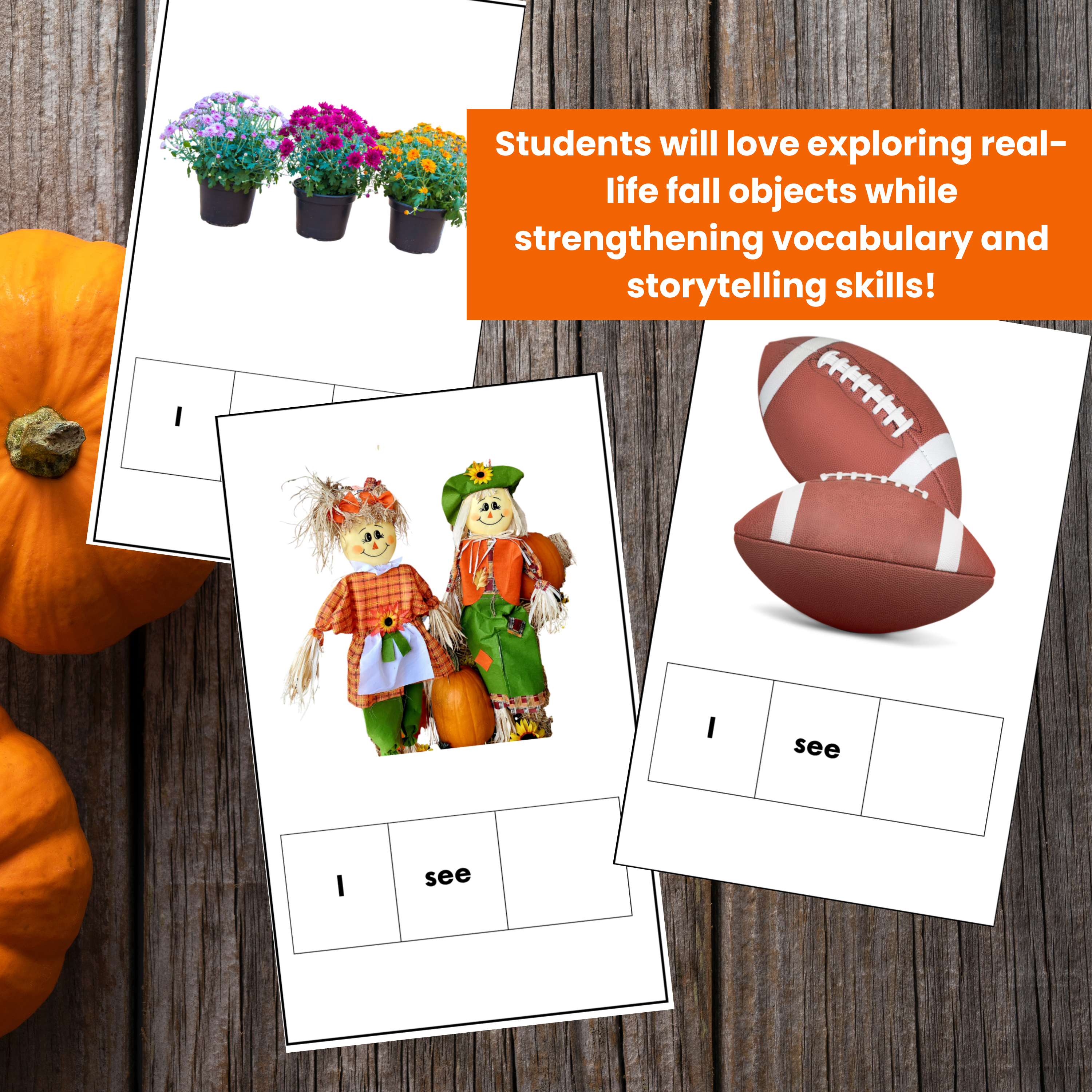 Fall Vocabulary Interactive Book for Preschool – Real Photo Printable