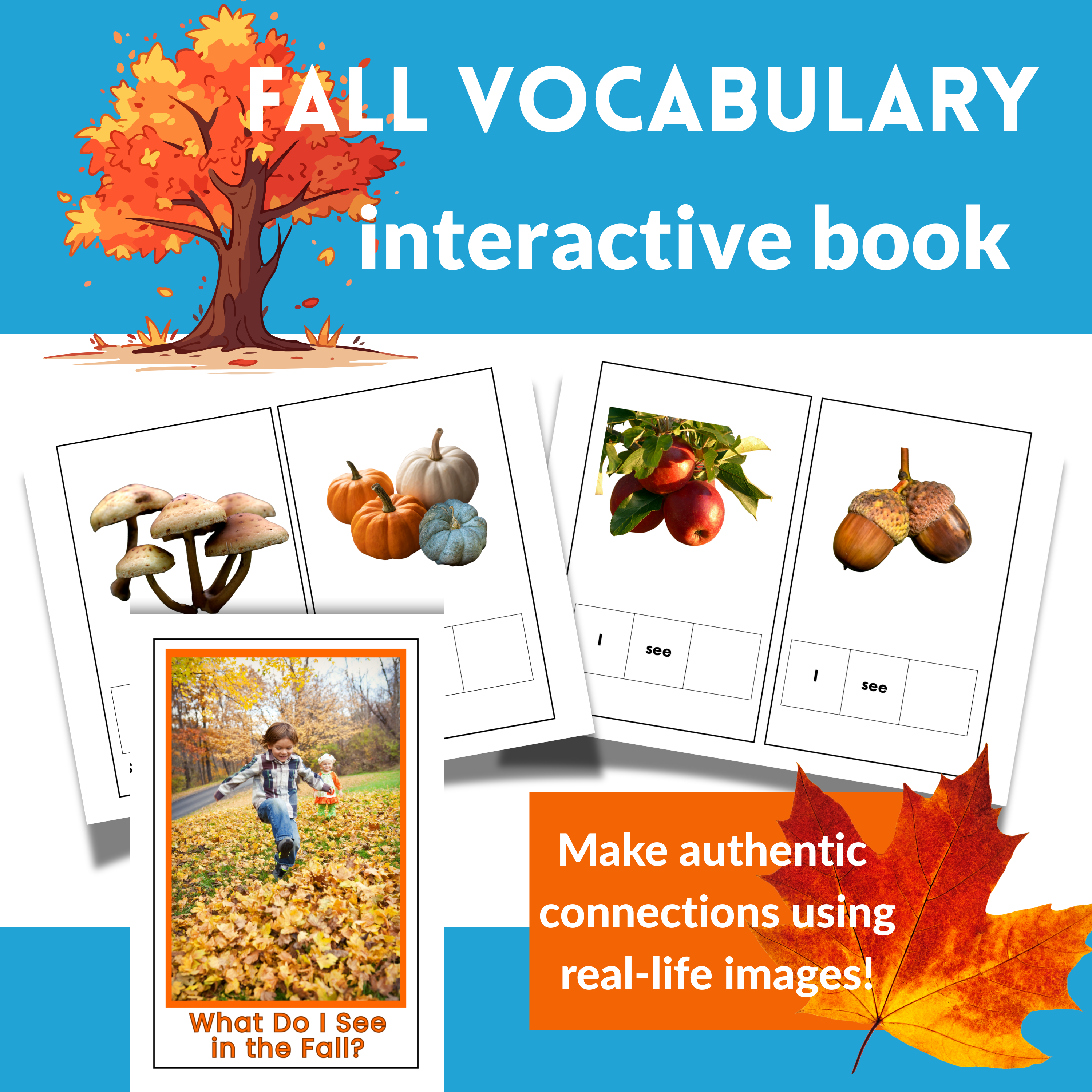 Fall Vocabulary Interactive Book for Preschool – Real Photo Printable