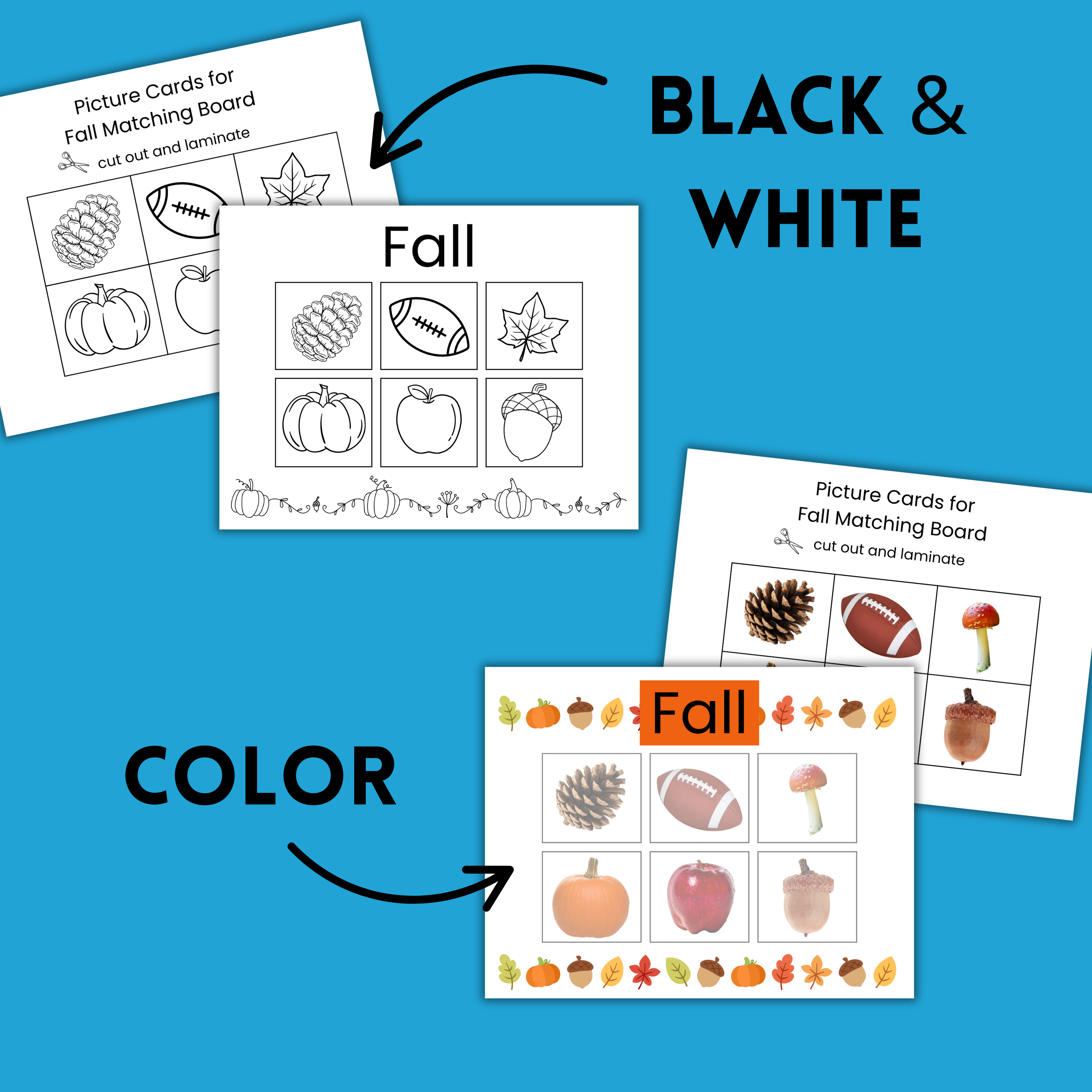 Preschool Fall Sorting Activity – Realistic and Graphic Image Matching Mats
