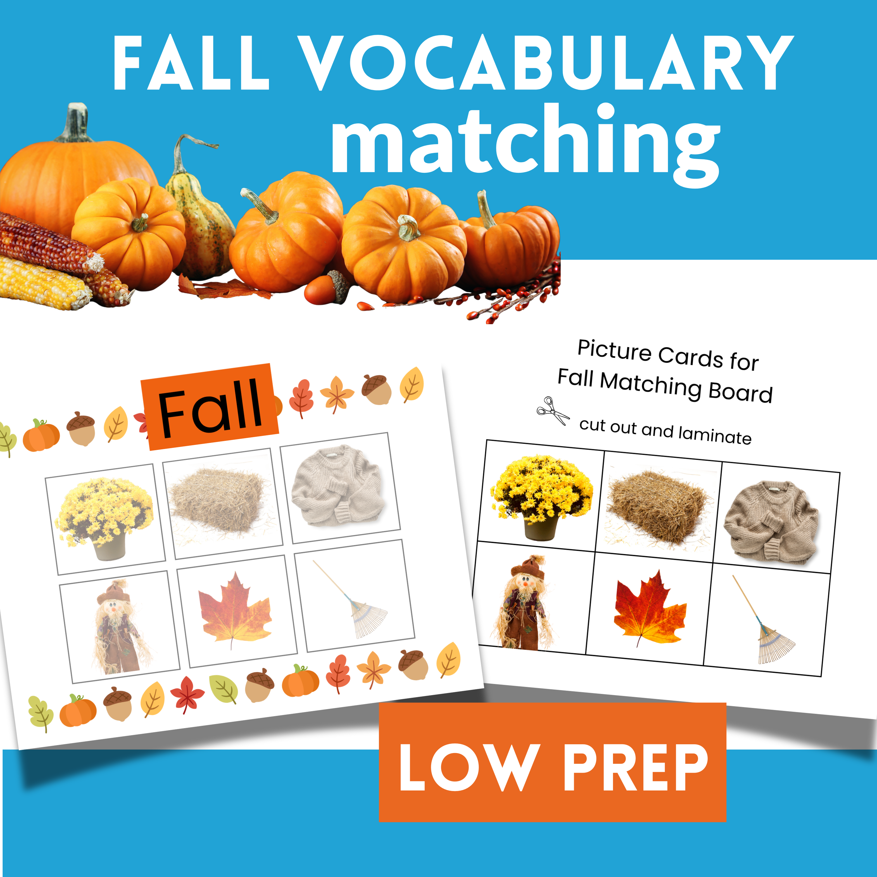Preschool Fall Sorting Activity – Realistic and Graphic Image Matching Mats