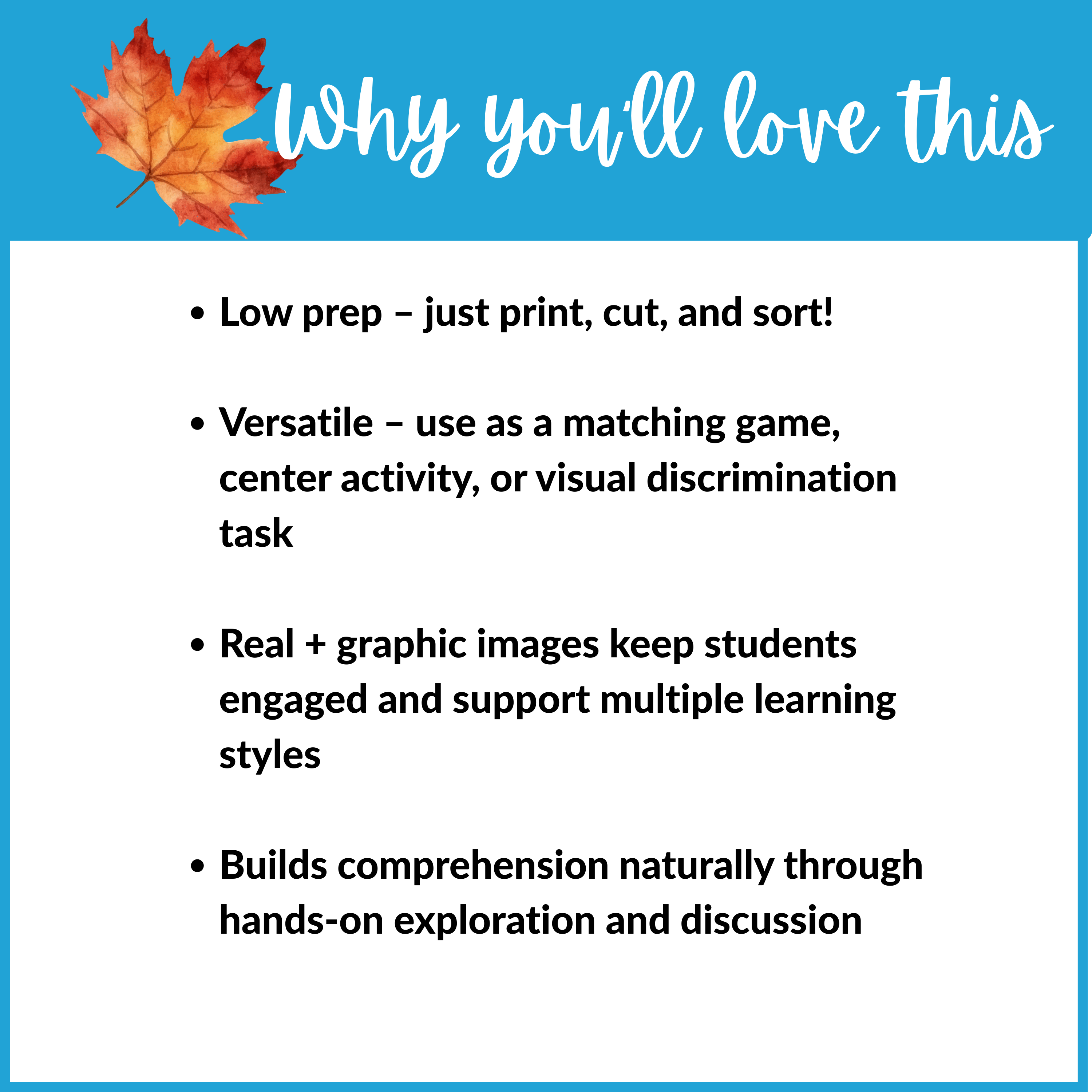 Preschool Fall Sorting Activity – Realistic and Graphic Image Matching Mats