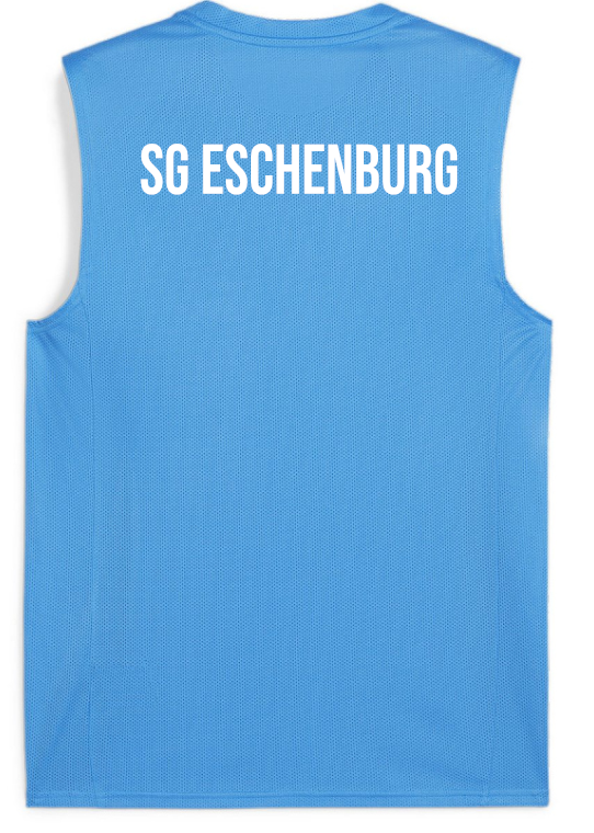 PUMA teamGOAL Tanktop