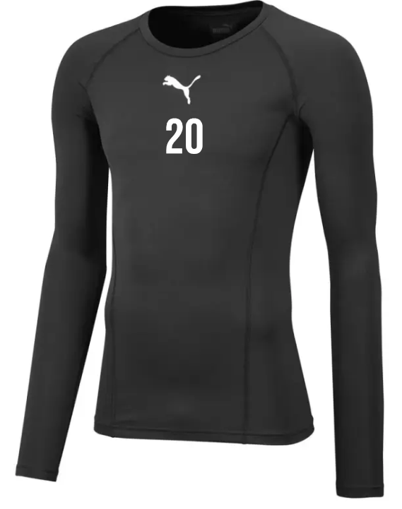 PUMA teamLIGA Funktionsshirt