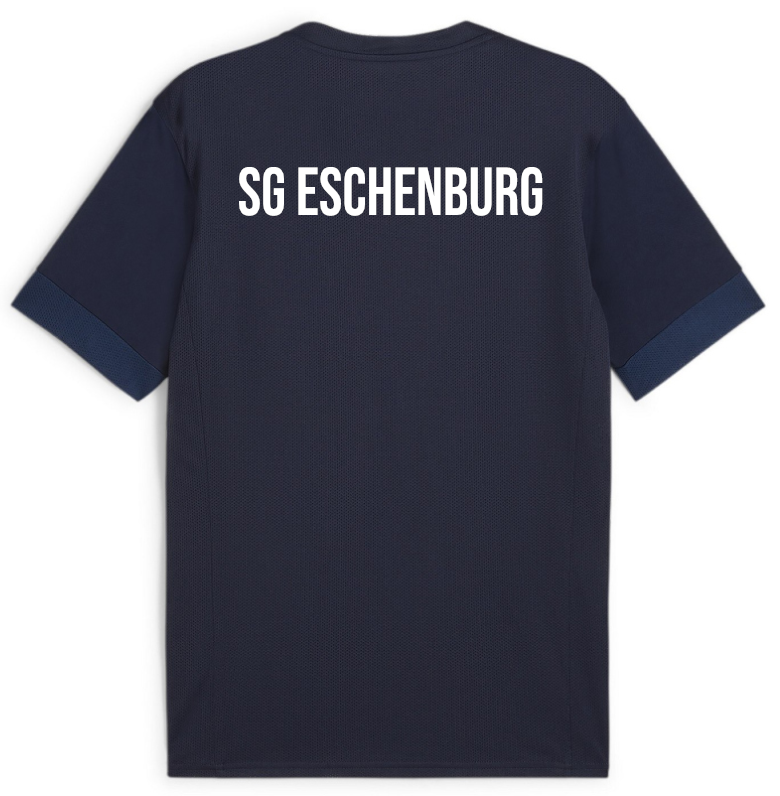 PUMA teamGOAL Matchday Jersey