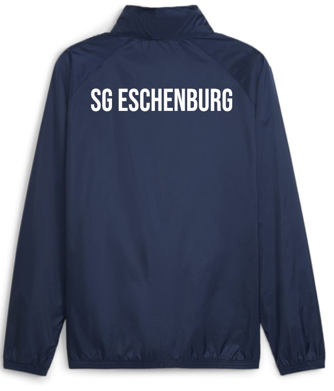 PUMA teamGOAL Allwetterjacke