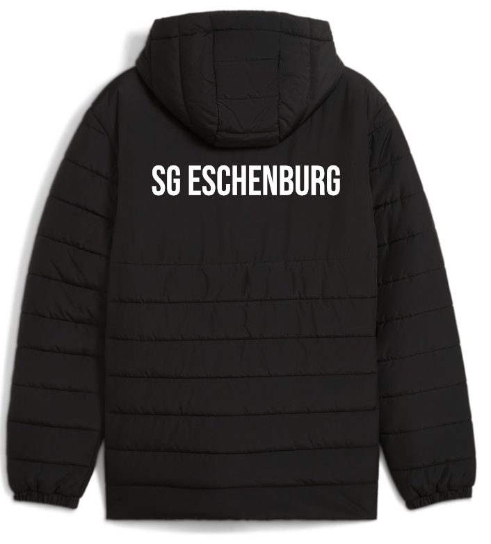 PUMA teamADDITIONS Jacke